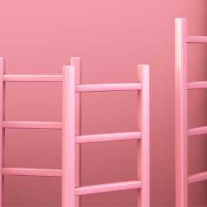 Pink background with variety of ladders